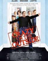 Sil Baştan – Crazy on the Outside 2010 Türkçe Dublaj izle