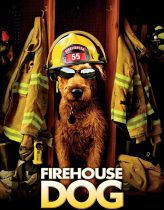Yıldız Köpek İşbaşında -Firehouse Dog 2007 izle