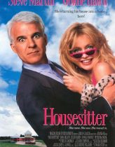 Yatağımdaki Kız – HouseSitter 1992 Türkçe Dublaj izle